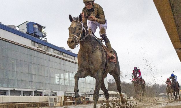 Mid-Atlantic Three Stars: January 29