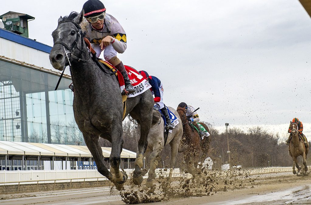 Roanan Goddess returns to main track for Weather Vane