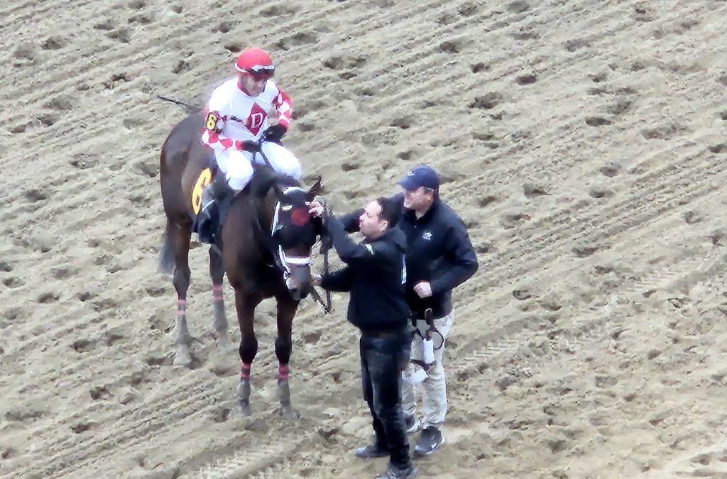 Trainer Cal Lynch nets 1,000th career victory