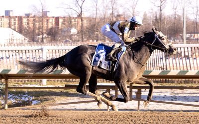 Maryland-bred champions announced