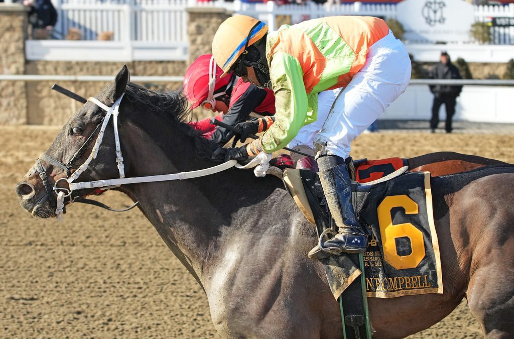 Laurel Park stakes storylines to follow