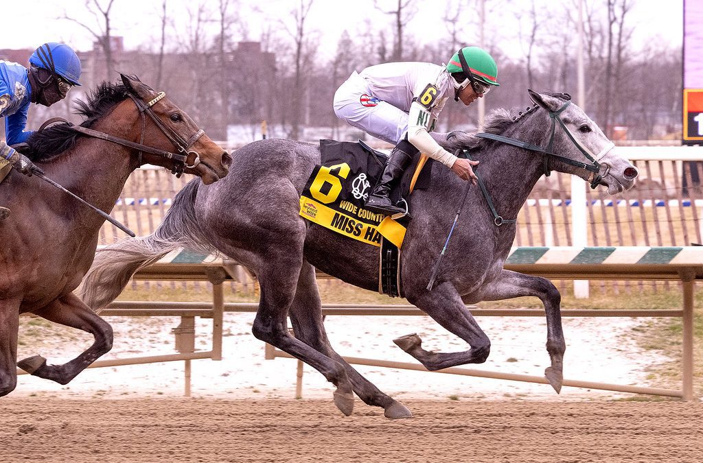 Tough group to contest Rehoboth Stakes