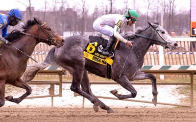 Tough group to contest Rehoboth Stakes