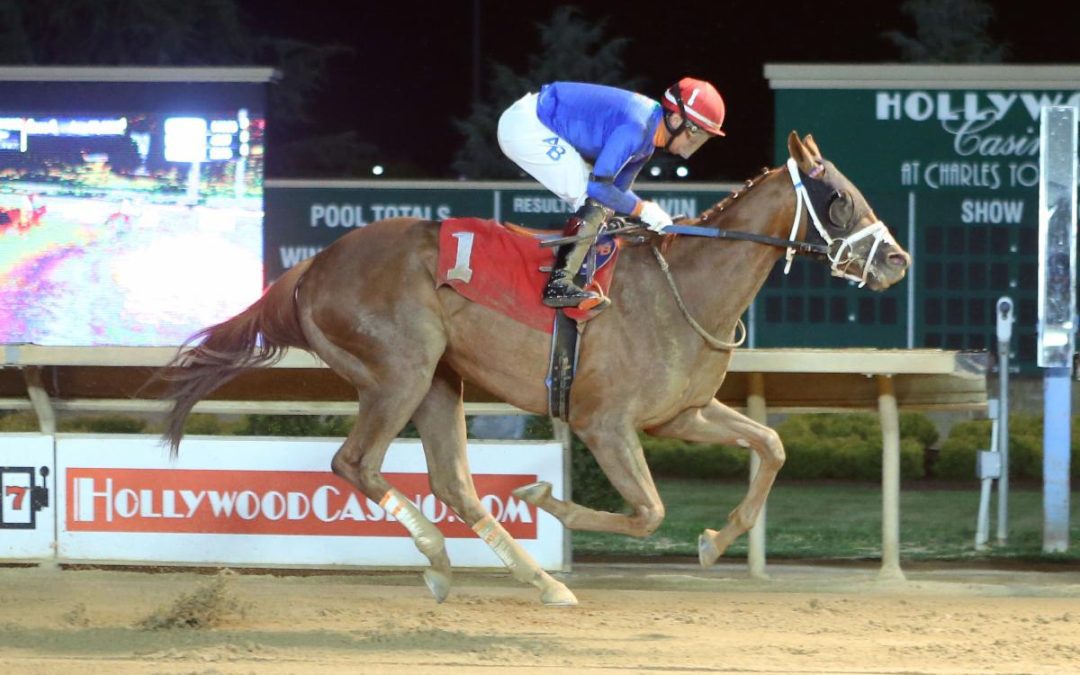 Uncaptured Storm named “Claiming Horse of the Year”