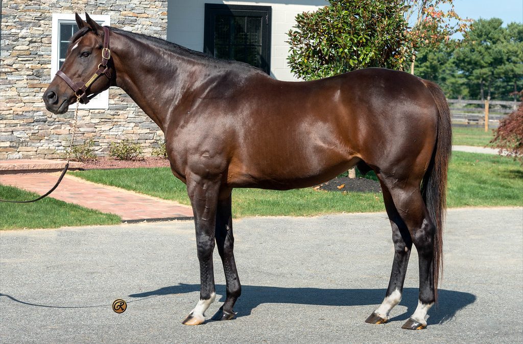 Great Notion’s big year tops Midlantic sires