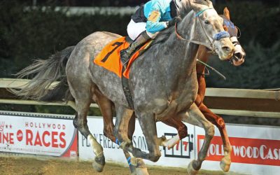 Muad’dib heads rugged Confucius Say field