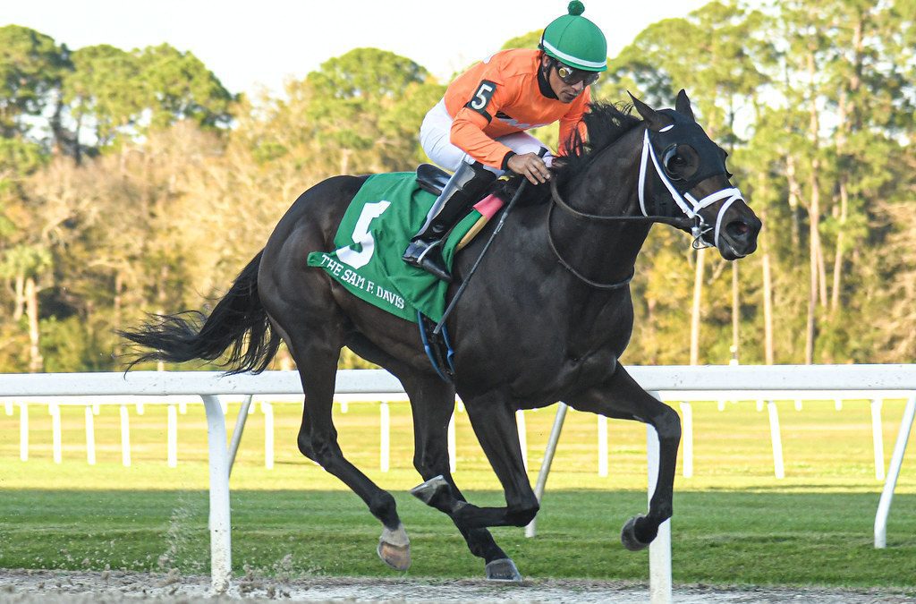 Triple Crown: Tampa Bay Derby picks and analysis