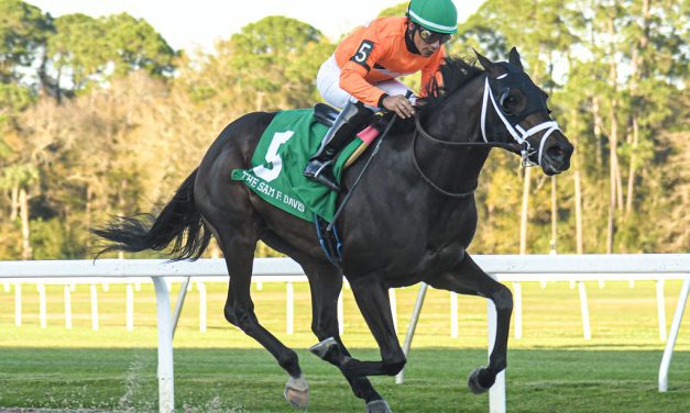 Triple Crown: Tampa Bay Derby picks and analysis