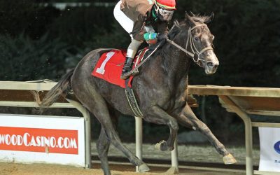 Overnight Pow Wow looks to continue McKee legacy