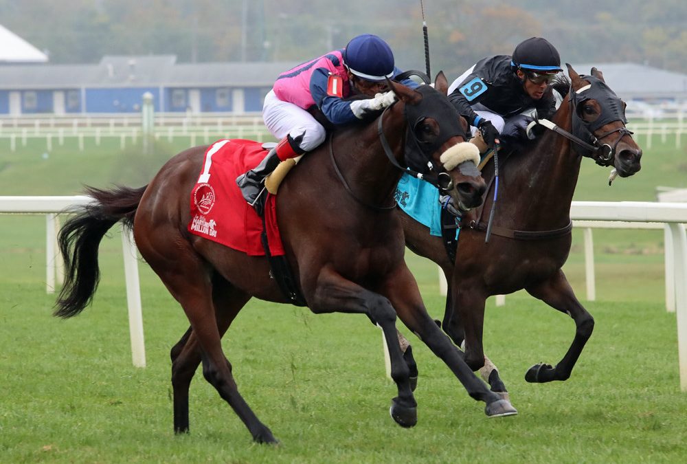 Book’em Danno, Precious Avary top NJ-bred awards