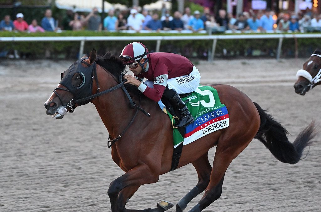 Triple Crown: Dornoch’s win has him in Derby top five