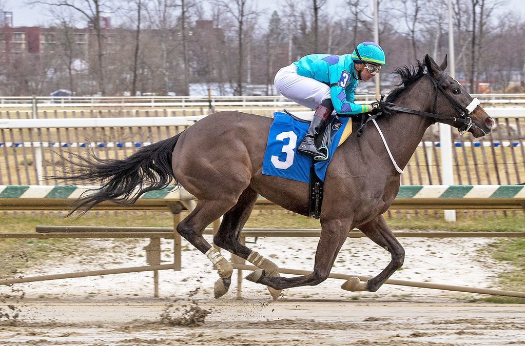 Full sibs Captain Quint, Quint’s Brew tackle Jennings