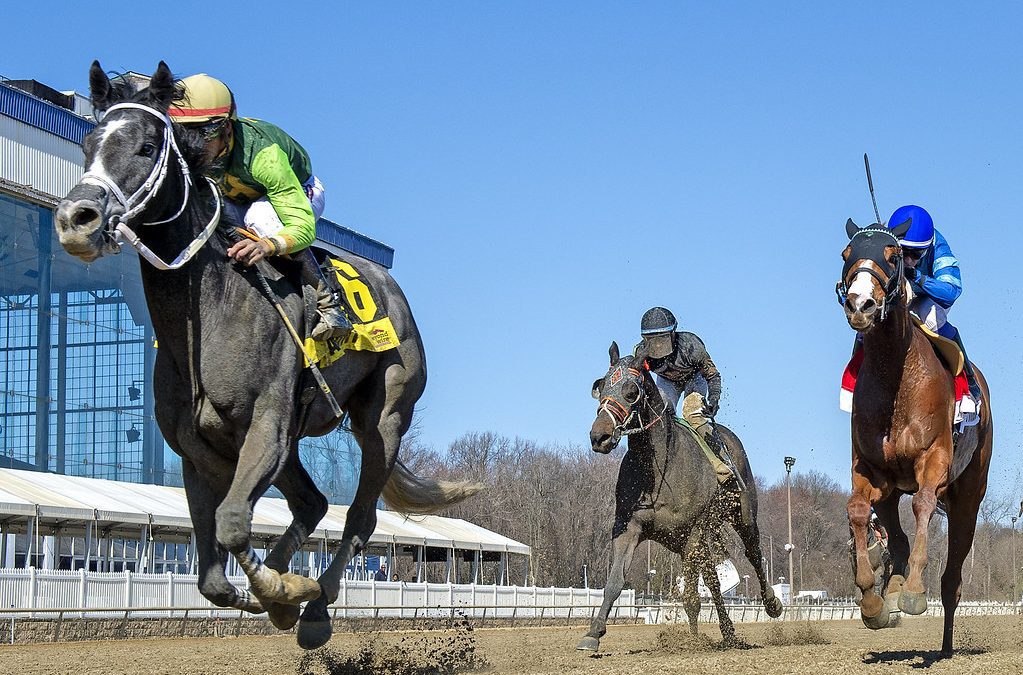 Take a Hint bags first stakes win in Not for Love