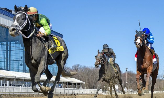 Take a Hint bags first stakes win in Not for Love