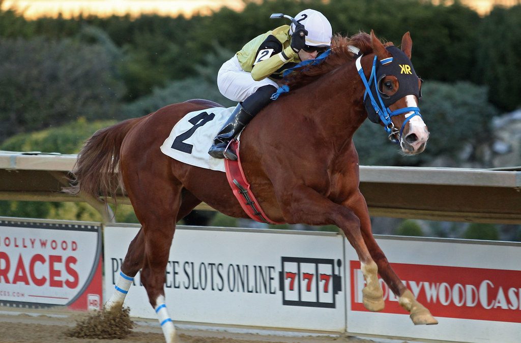 CT: Rugged group to contest Coin Collector Stakes