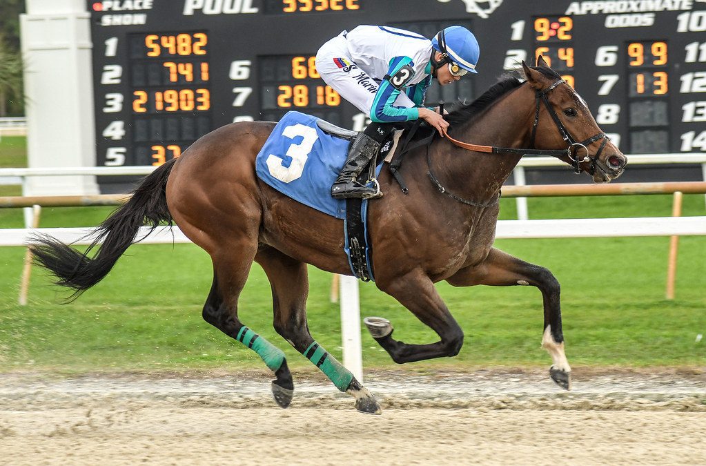 Book’em Danno, I’m Very Busy lead Top Midlantic-bred Polls