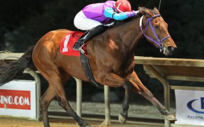 Bargain Boss E Boogs paying dividends