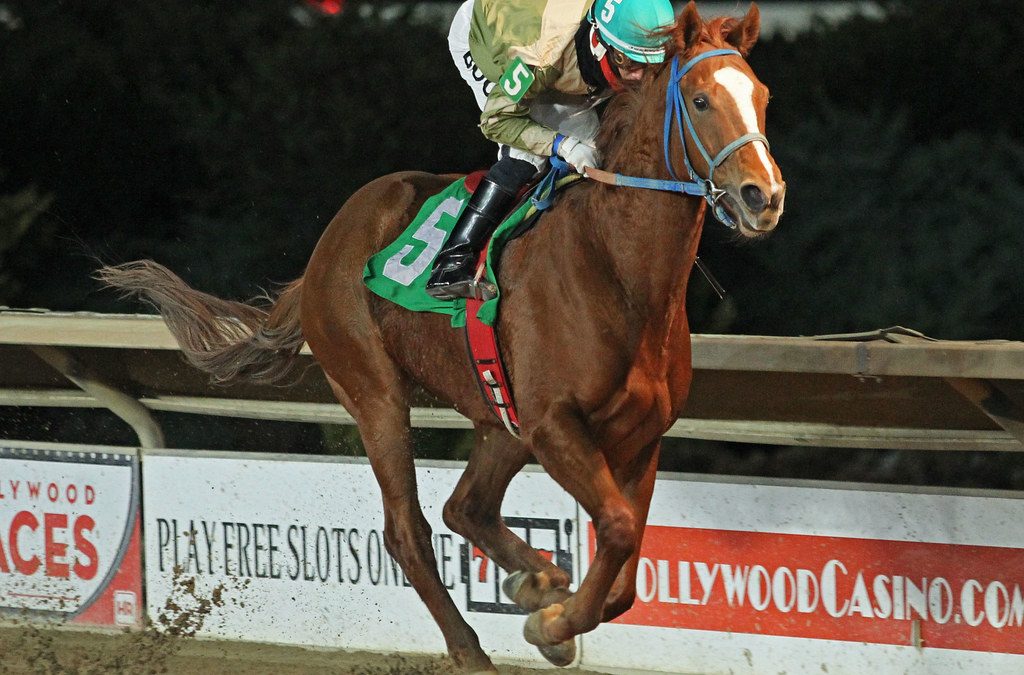 Abnel Bocachica shifting tack to New York