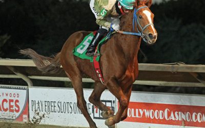 Abnel Bocachica shifting tack to New York