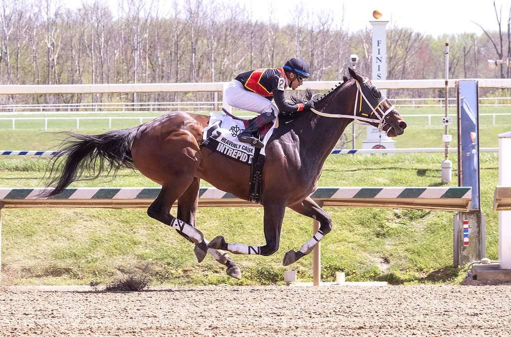 Intrepid Dream powers to fifth straight in Heavenly Cause