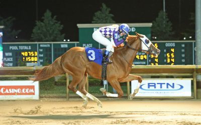 CT: Indicator looking special, in more ways than one