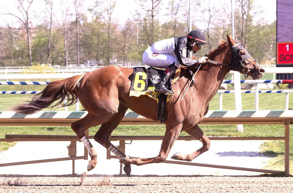 Familiar names in Virginia Oaks