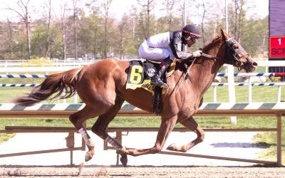 Contentious group set for G3 Delaware Oaks