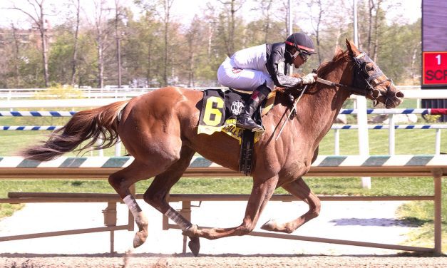 Trombetta takes Black-Eyed Susan aim with Call Another Play