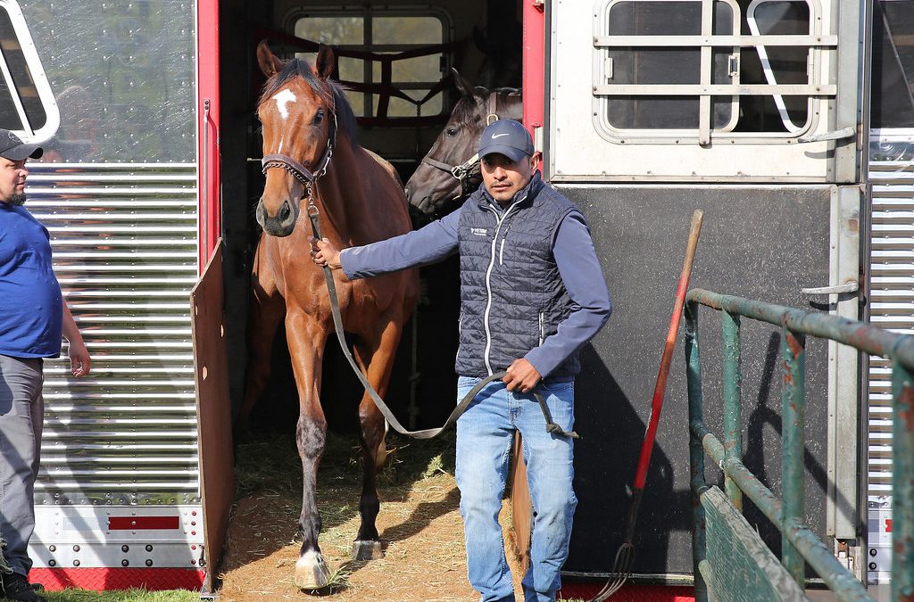 First horses arrive at Monmouth Park for 2024 season