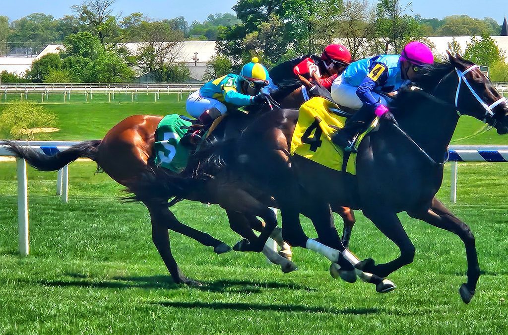 Handicapping: Know your point-to-points