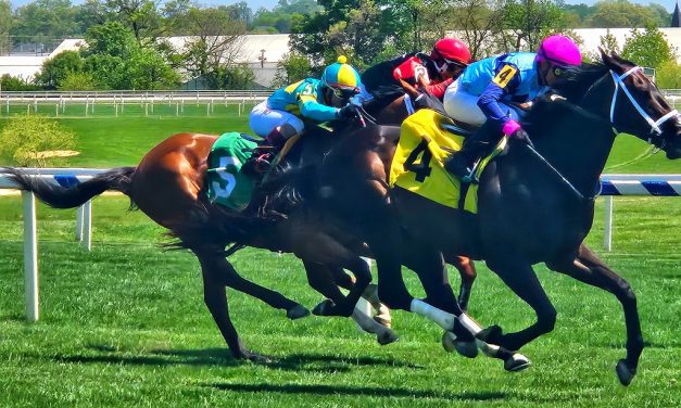 Handicapping: Know your point-to-points