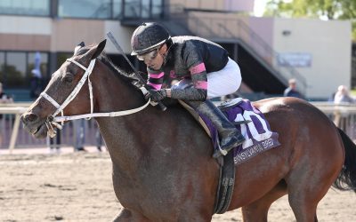 Hard knocker Morning Matcha readies for DelCap shot