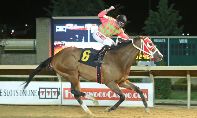 For trainer Ronney Brown, Lightnin striking Gold