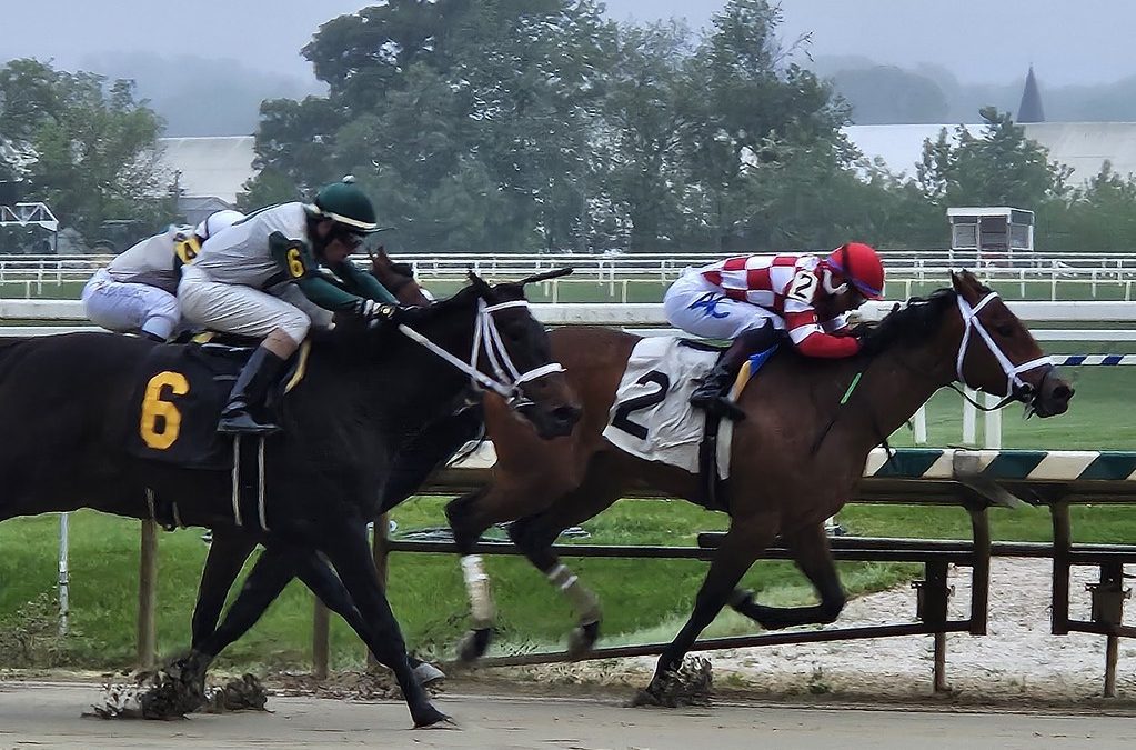 Biscuitwiththeboss gobbles up first 2yo race in Maryland