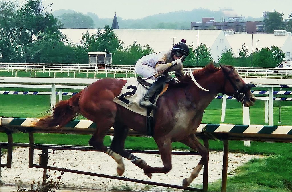 Studlydoright could try turf in Laurel Futurity