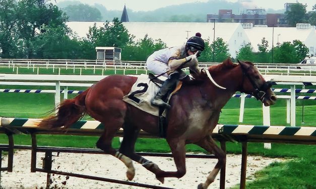 Studlydoright lives up to name in debut win