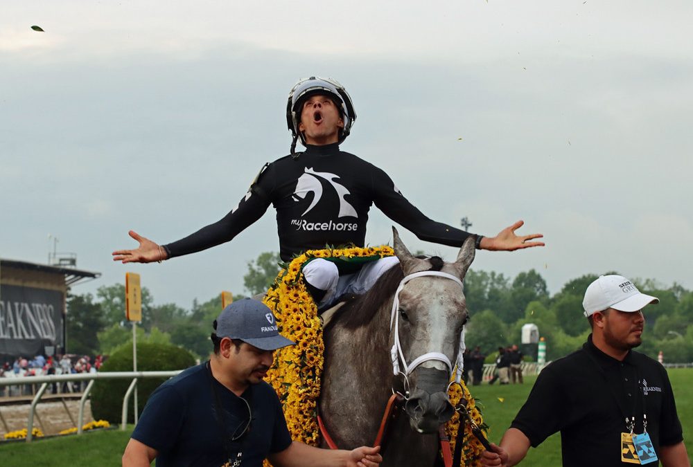 Preakness 2025: Horse by horse analysis