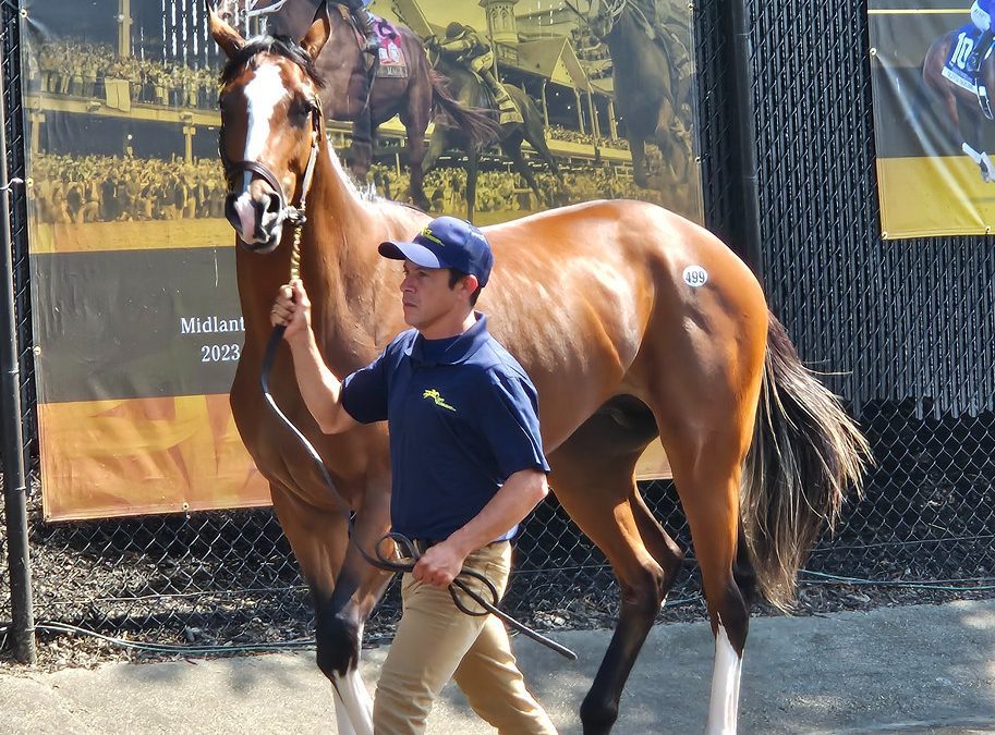 Fasig-Tipton shifts May sale schedule