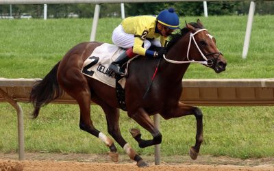 Alva Starr could return to Delaware in Rehoboth