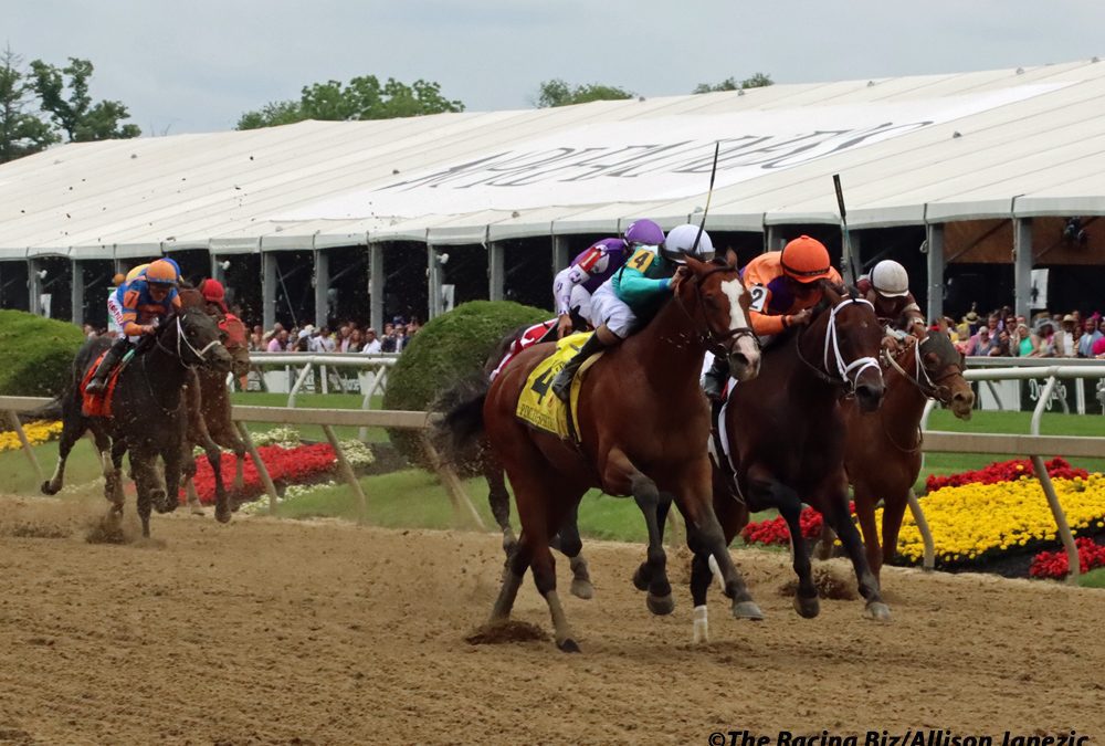 Experts’ Black-Eyed Susan day picks