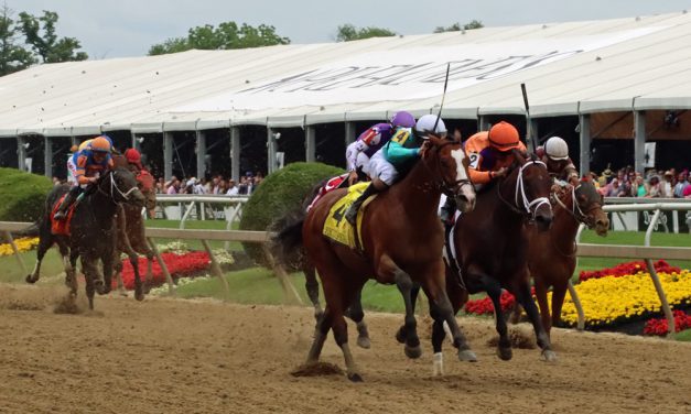 Pyrenees seeks to defend Pimlico Special title