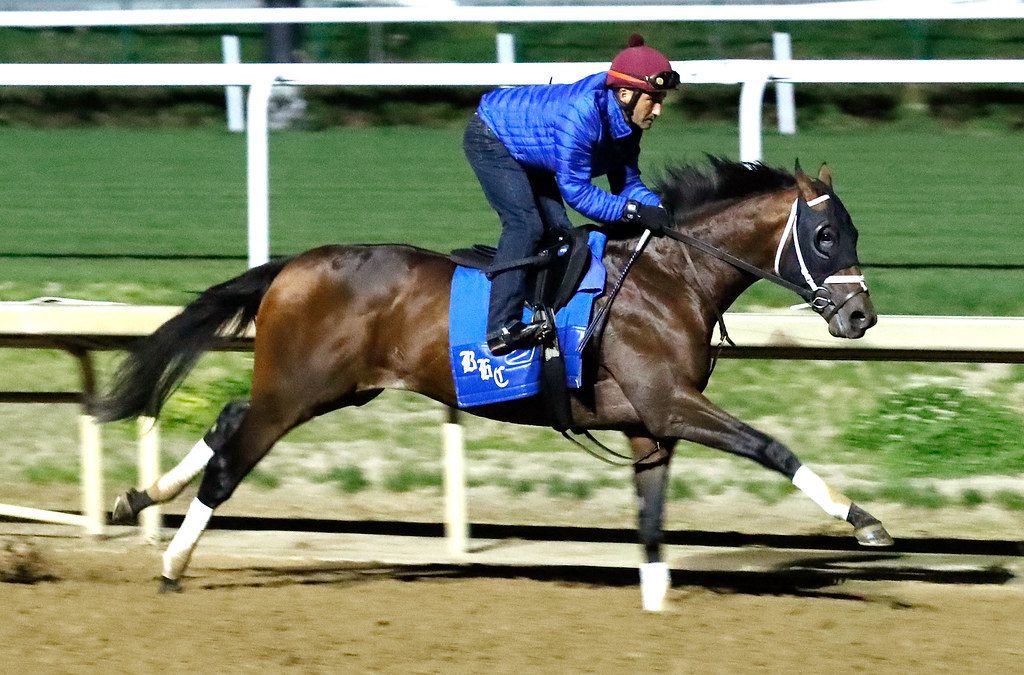 Catching Freedom will contest the Preakness