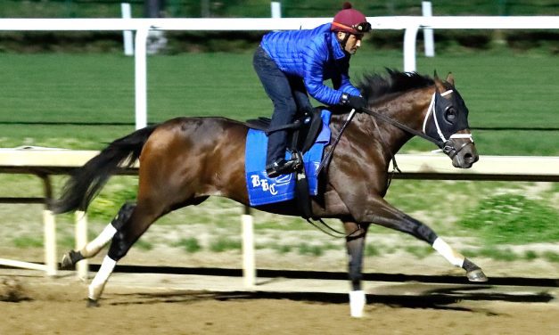 Catching Freedom will contest the Preakness