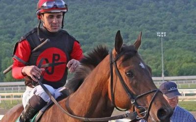 Julio Hernandez shifting tack to Delaware Park