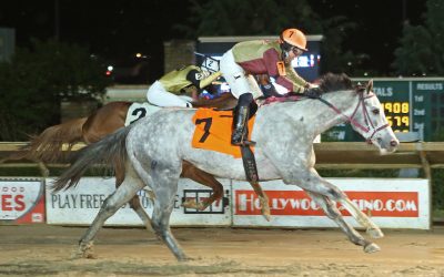 Jubawithatwist back on top in Coin Collector