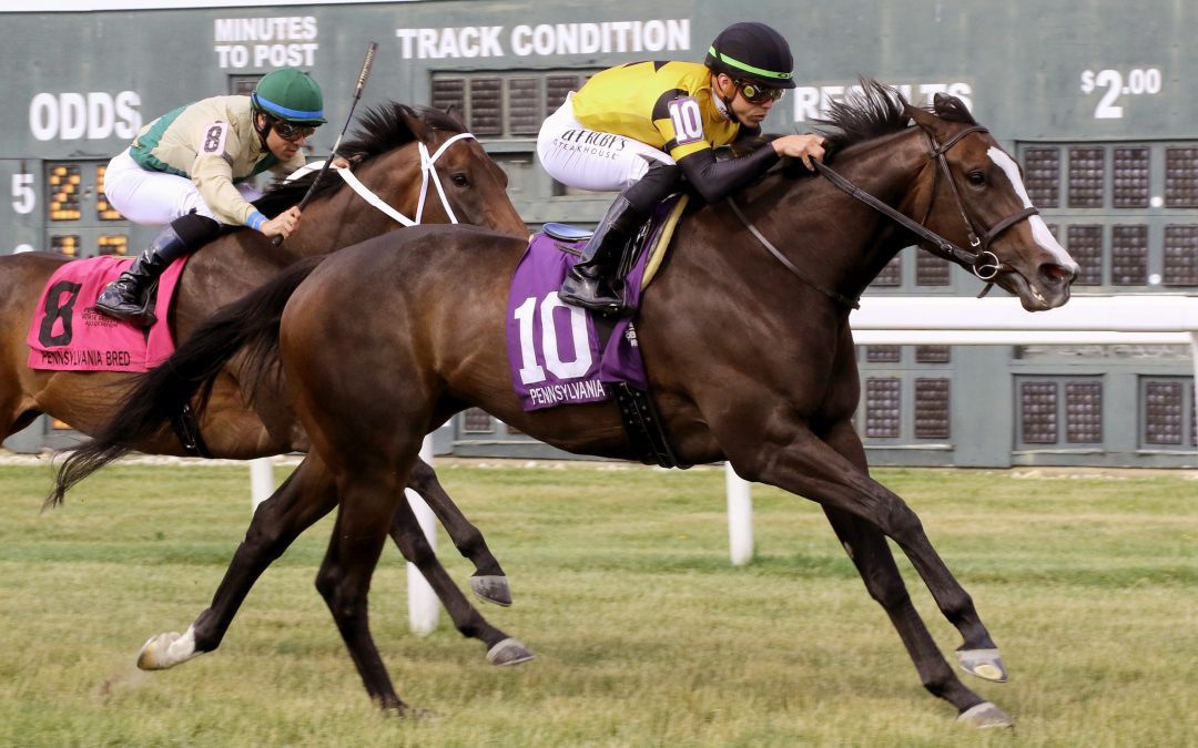 Mid-Atlantic Three Stars: July 1