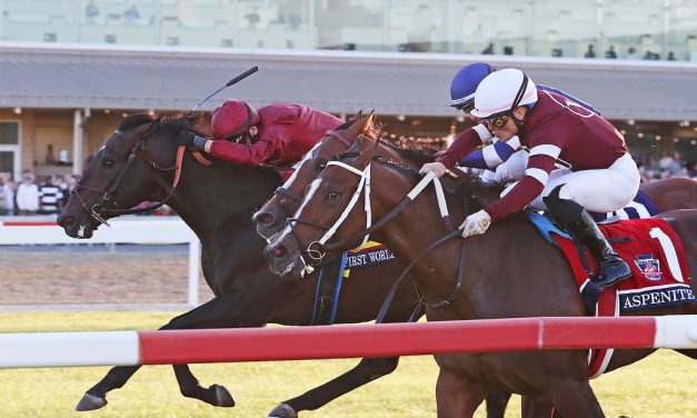 Frankie went to Hollywood (and won)