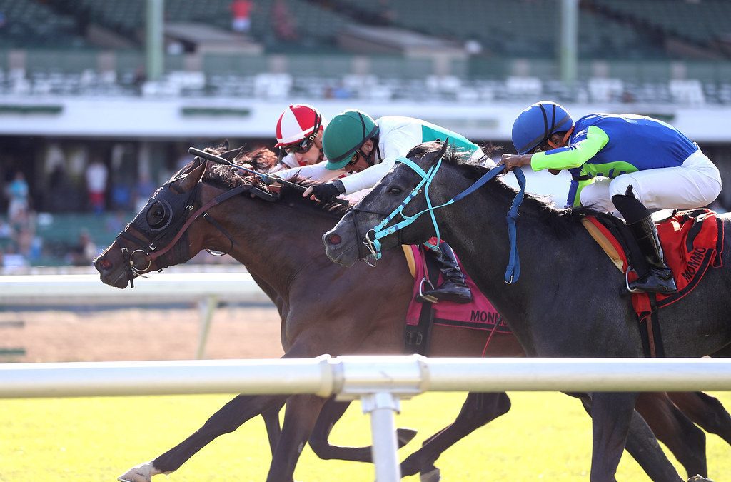 Twirling Point, Dettori score in Jersey Derby