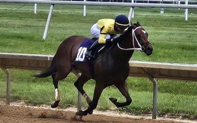 Alva Starr becomes a millionaire in Rehoboth win