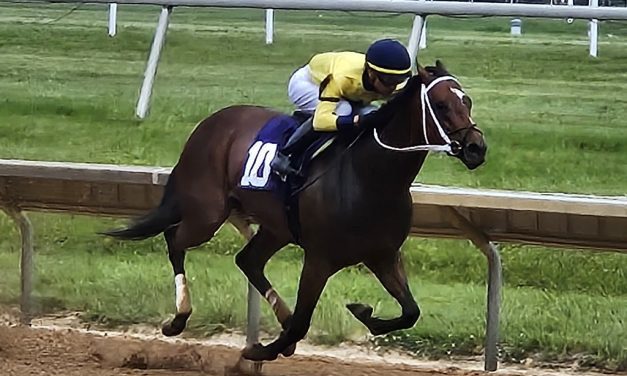 Alva Starr becomes a millionaire in Rehoboth win